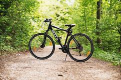 Biking | Snow Goose Bed and Breakfast, Keene Valley, NY